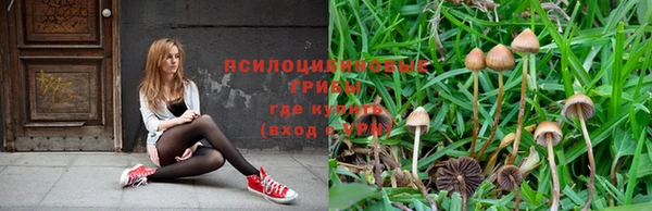 гидропоника Майский