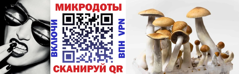 Купить закладки  Хадыженск  Галлюциногенные грибы мухоморы 